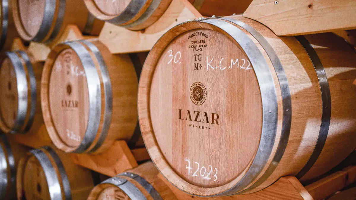 An Unforgettable Wine Experience in Zagreb